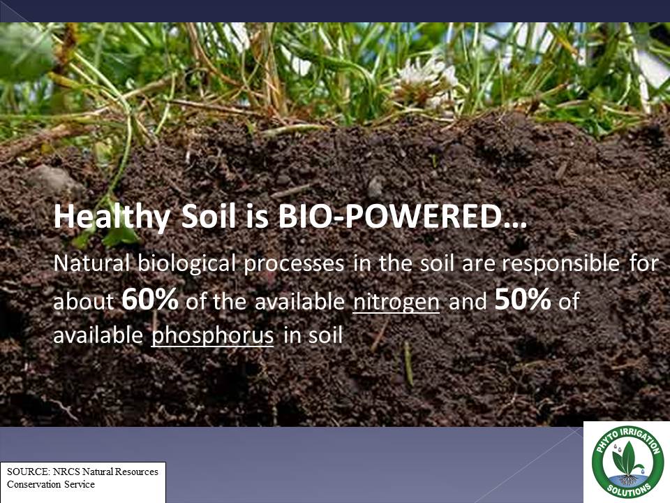 Phyto Irrigation Solutions Soil Science