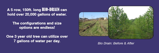 rain water reuse - bio drain